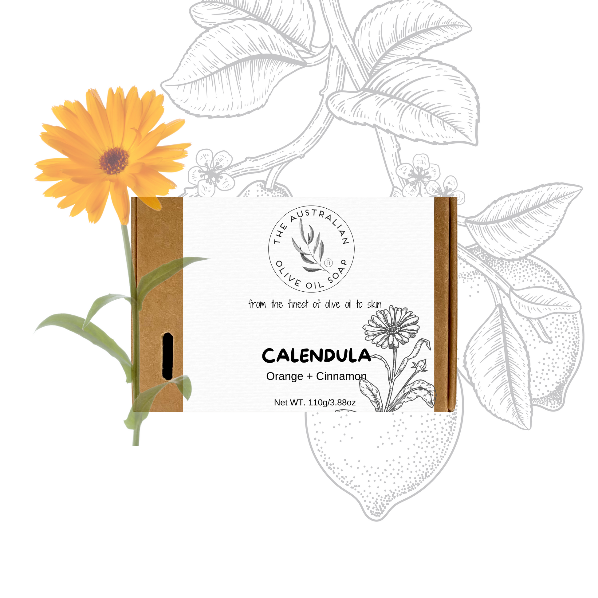 calendula Orange Citrus - The AOOS