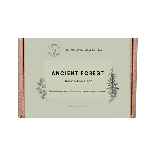 Ancient Forest Bath